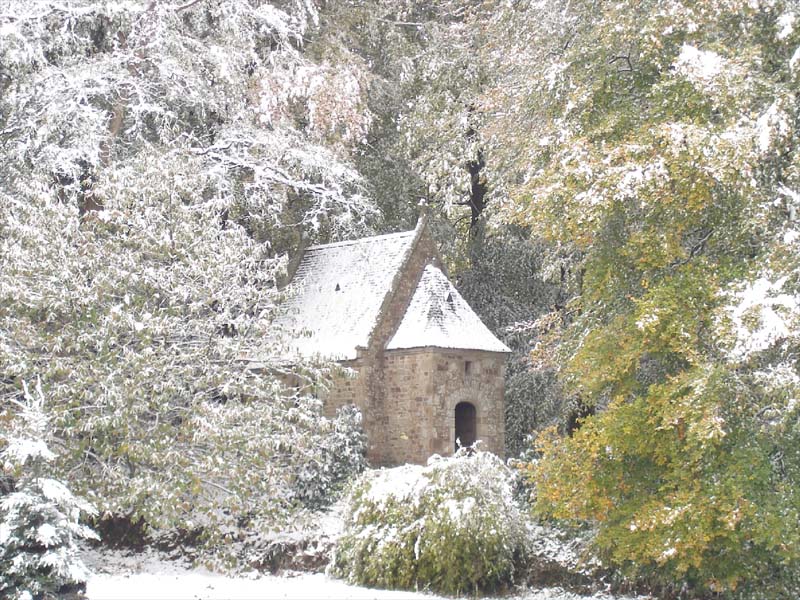 Château de Fontenaille_53500 SAINT-PIERRE-DES-LANDES_14